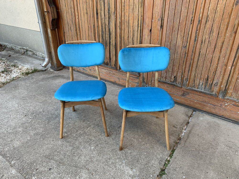 Mid-century hungarian chairs, 1960