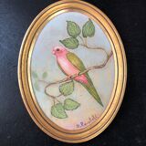 Golden frame and parakeet painting