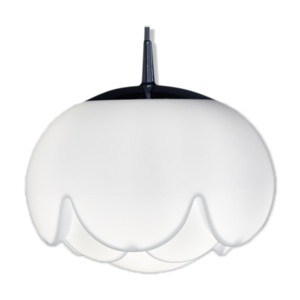 suspension Lotus de peill