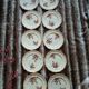 10 assiettes plates anciennes Longchamp 