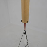 Mid-Century Floor Lamp, Europe, 1960s, Restored