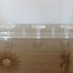 Wall coat rack in transparent plexiglass 3 hooks. 1980