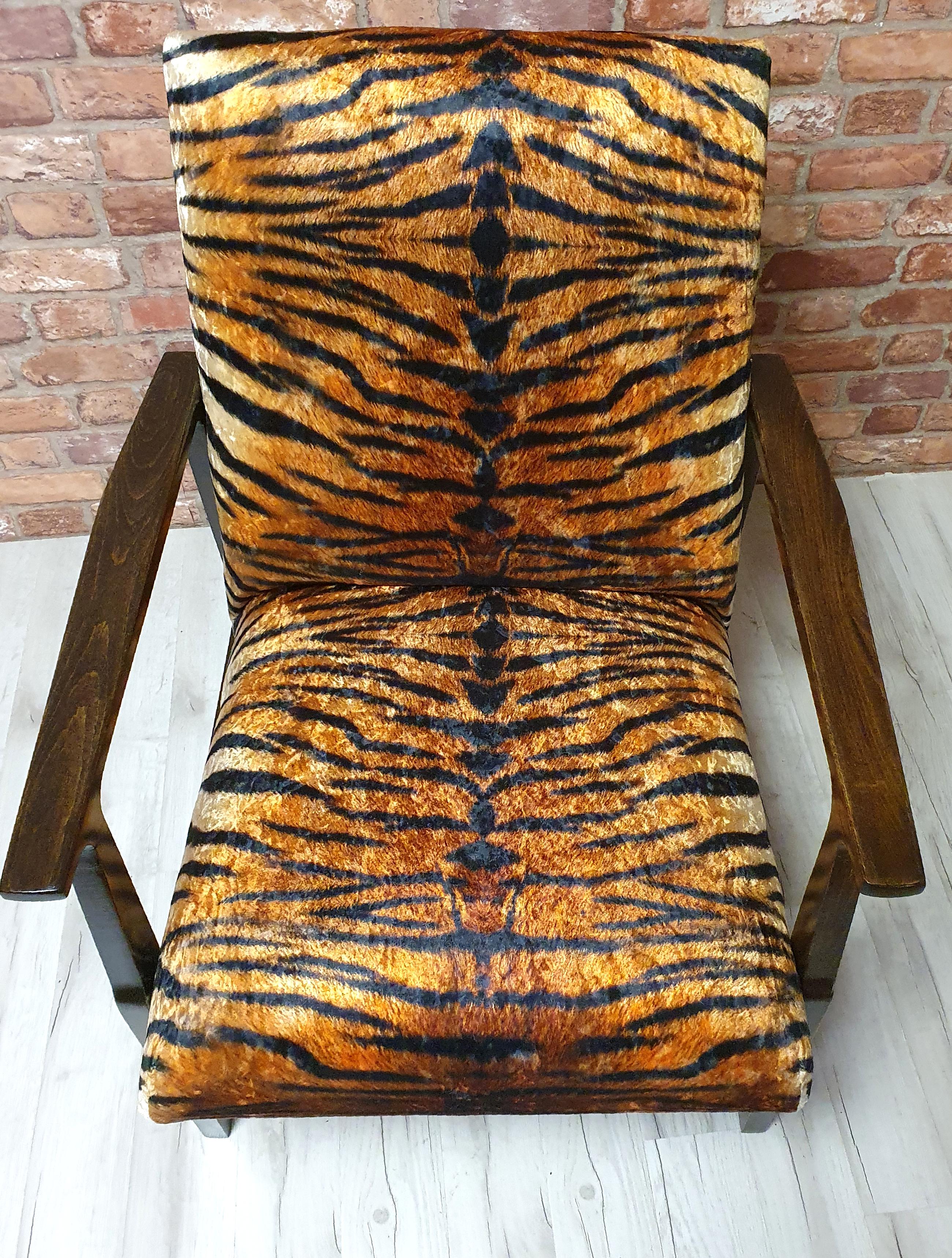 Renovated armchair BW-14, Tiger, Poland 1960s