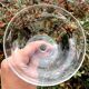 Set of 5 champagne cups in engraved crystal from the 1950s elegant