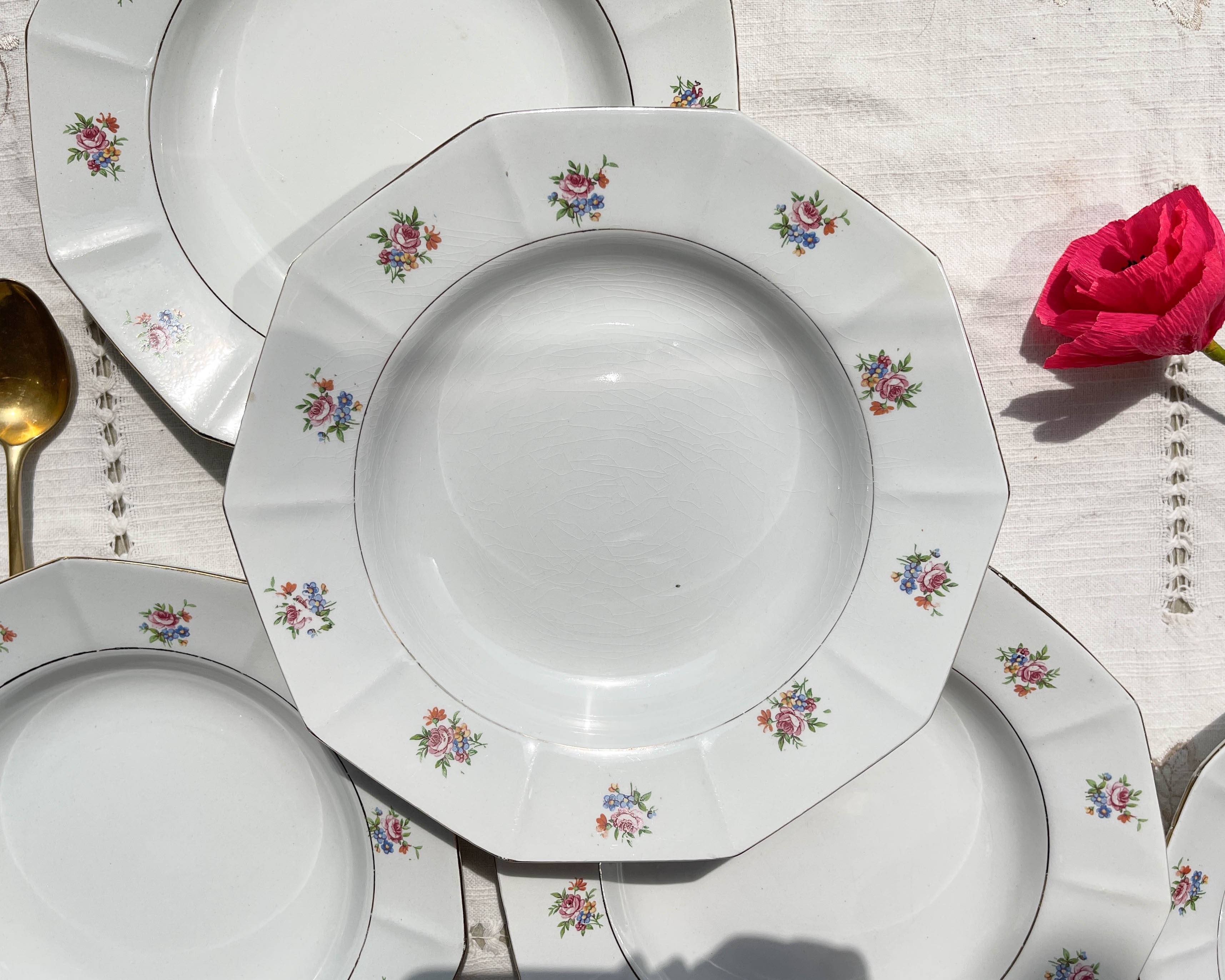 5 vintage hollow plates in opaque porcelain SALINS floral pattern