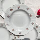 5 vintage hollow plates in opaque porcelain SALINS floral pattern