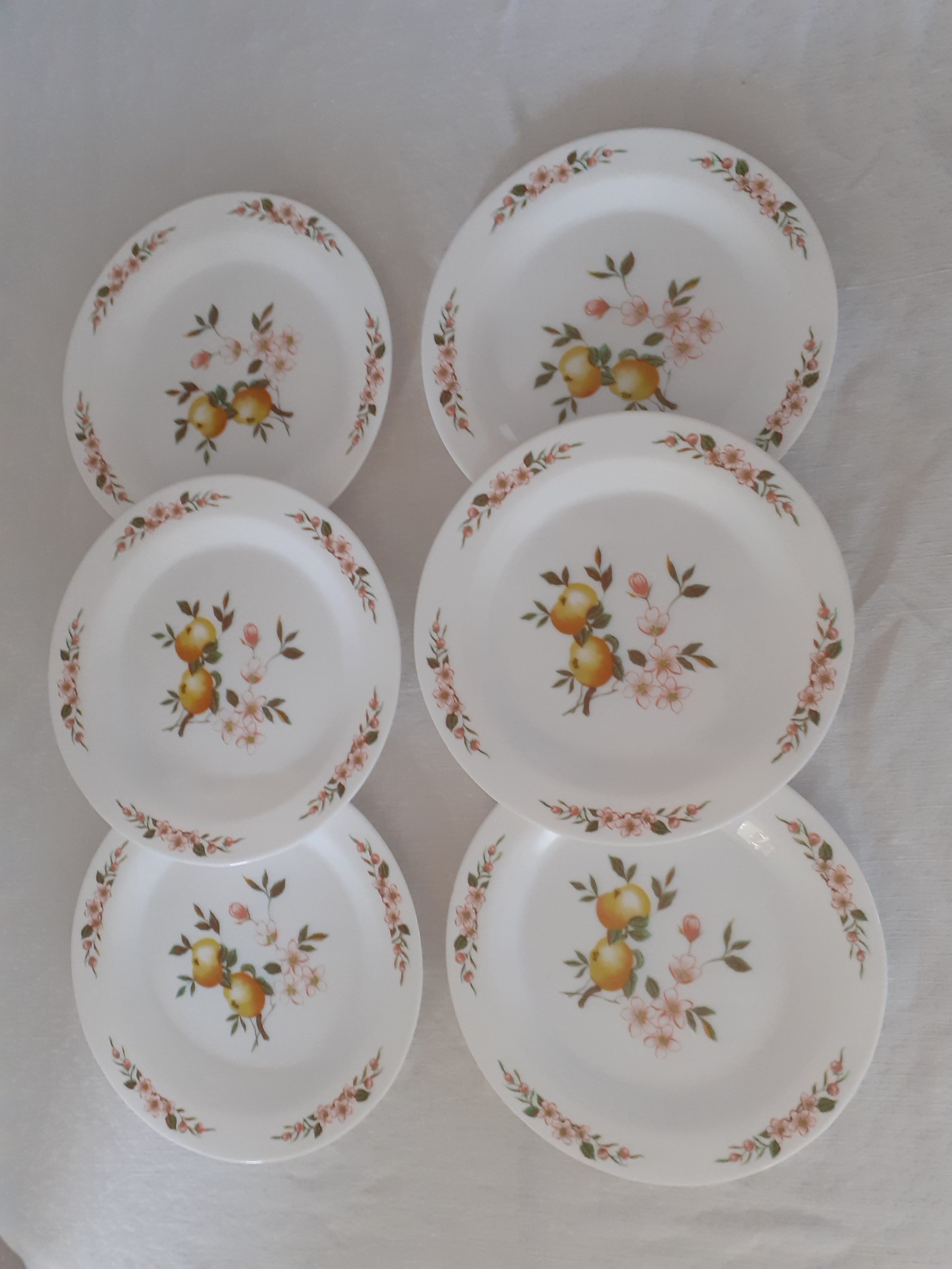 6 Flat plates Normandy apple decoration Arcopal france