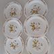 6 Flat plates Normandy apple decoration Arcopal france