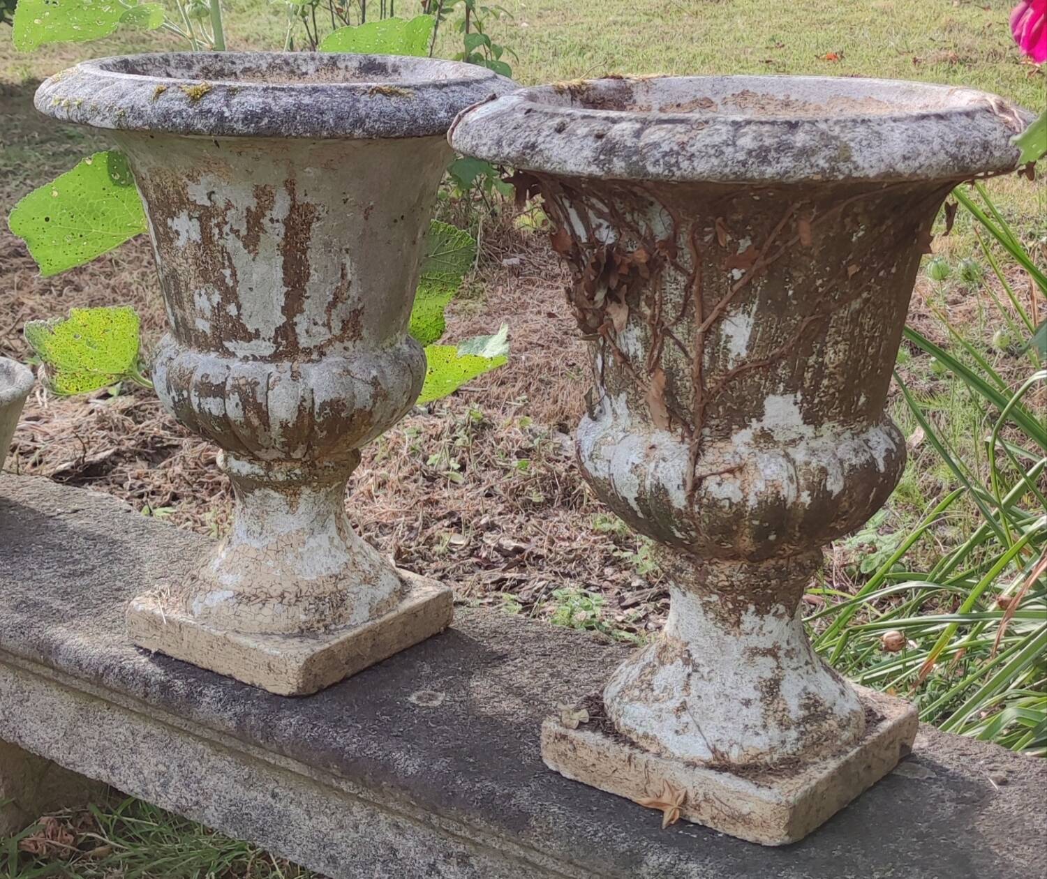 Pair of antique Medici stone vases