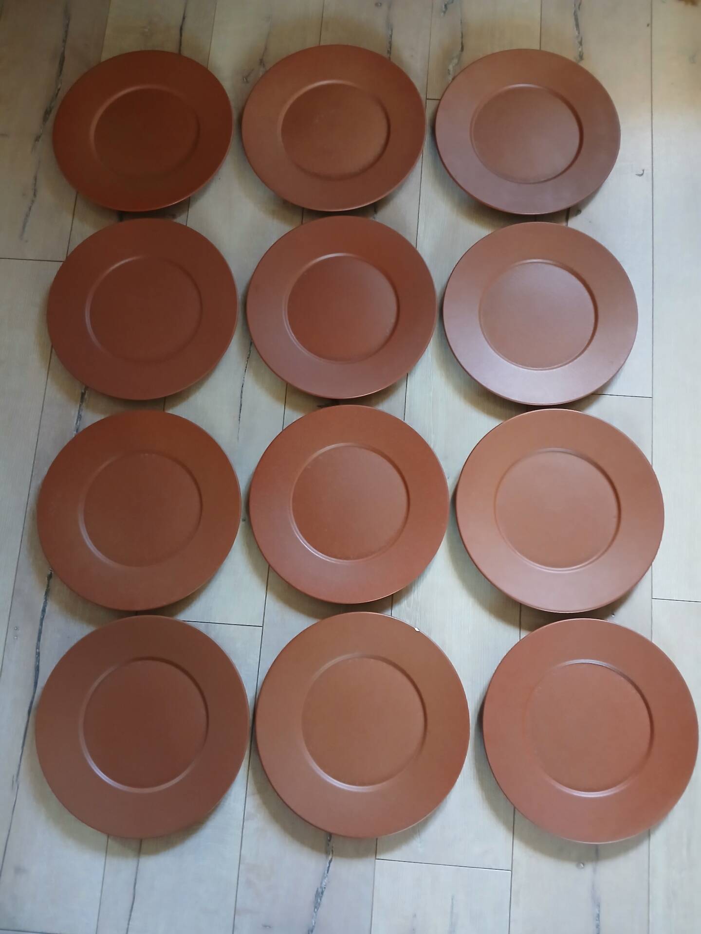 12 large flat plates Molin / Charolles