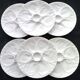 6 Pillivuyt white porcelain oyster plates