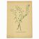Antique illustration from 1948. Meadow flower by Strache. Shepherd's purse