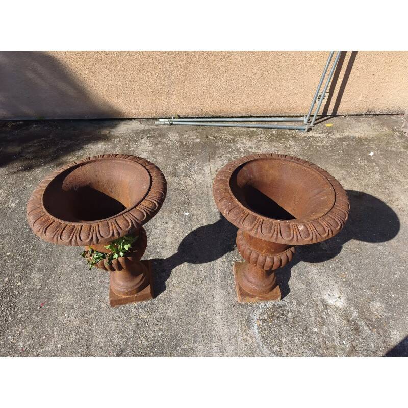 Pair of 19th-century cast iron Medici vases