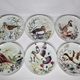 Set of six porcelain plates decorated with birds from Sologne, Limoges, signed, 25 cm