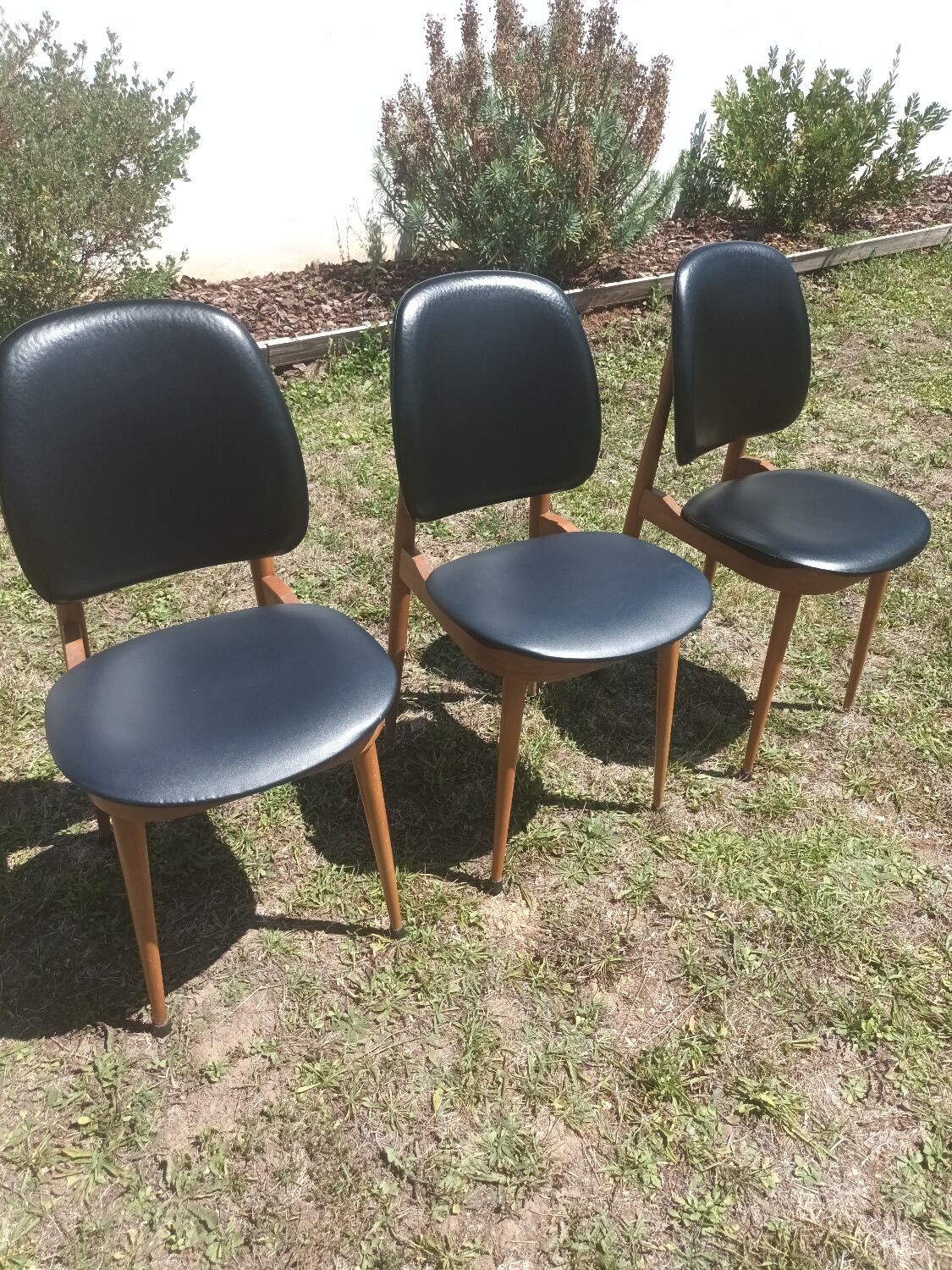 Baumann Pegase chairs