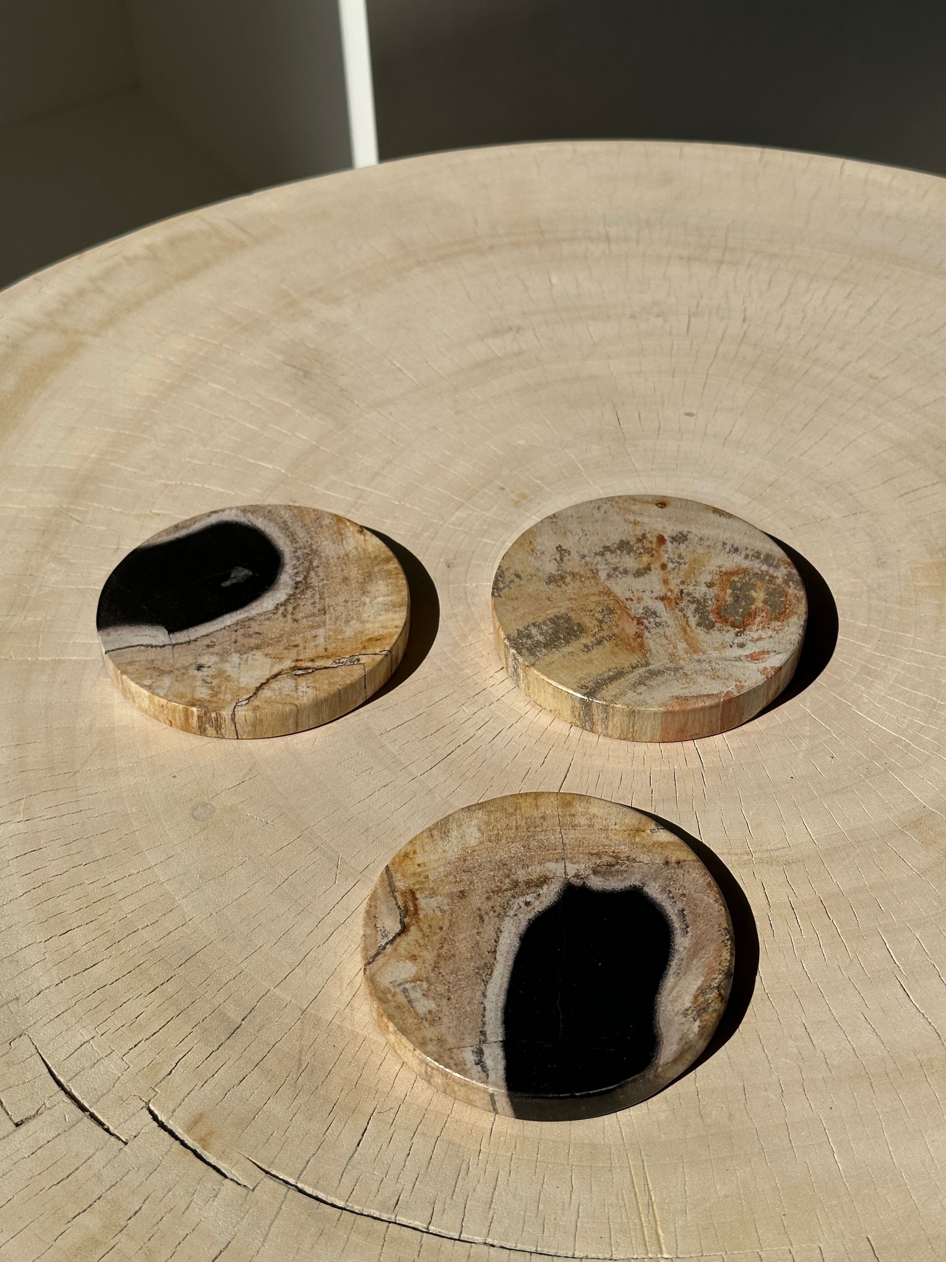 Set of 3 fossilized wooden coasters (clear)