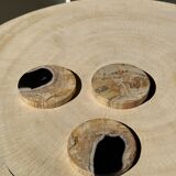Set of 3 fossilized wooden coasters (clear)