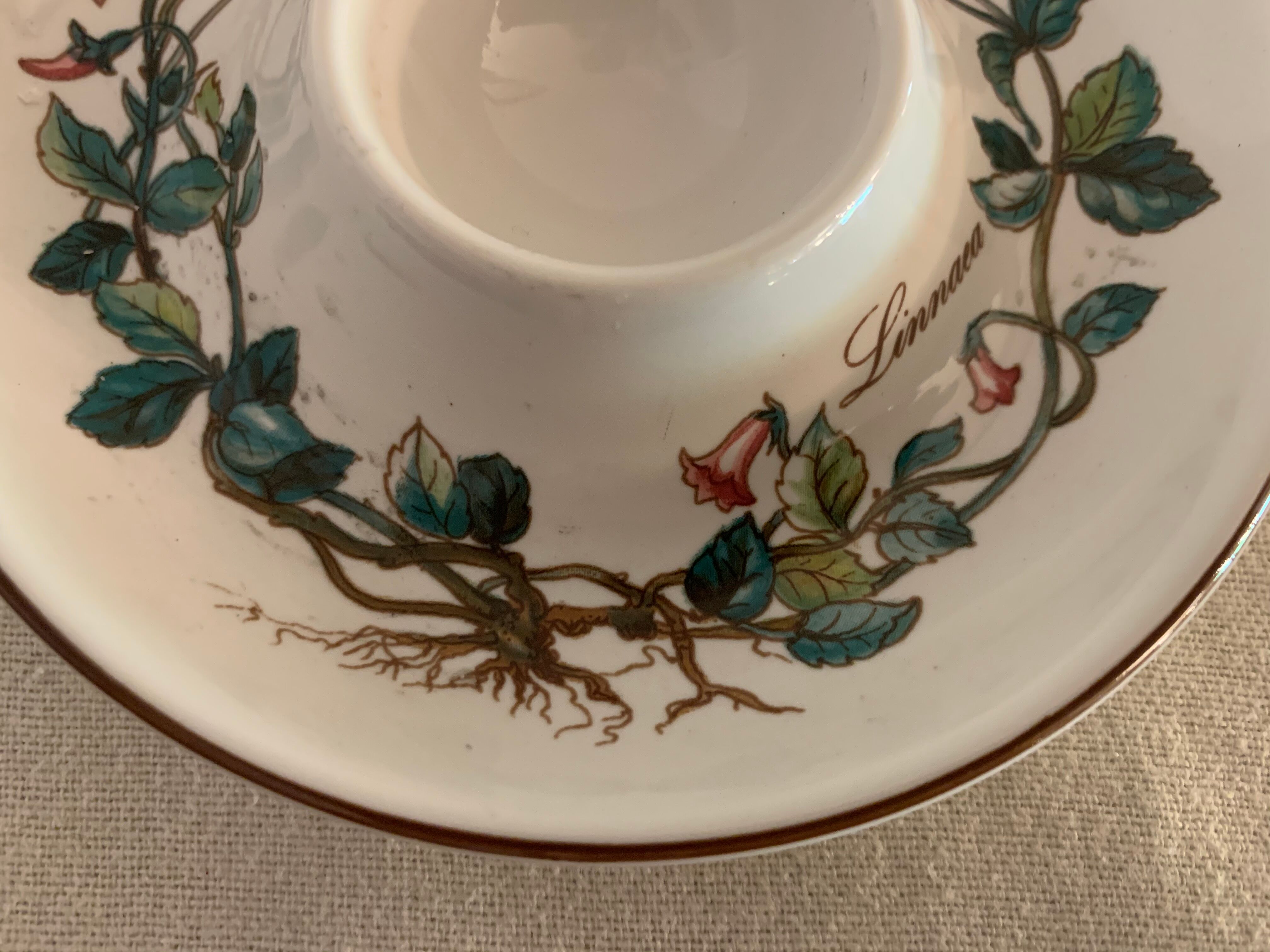 Pair of cockroaches Botanica Linnaea or Twinflower de Villeroy and Boch