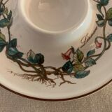 Pair of cockroaches Botanica Linnaea or Twinflower de Villeroy and Boch