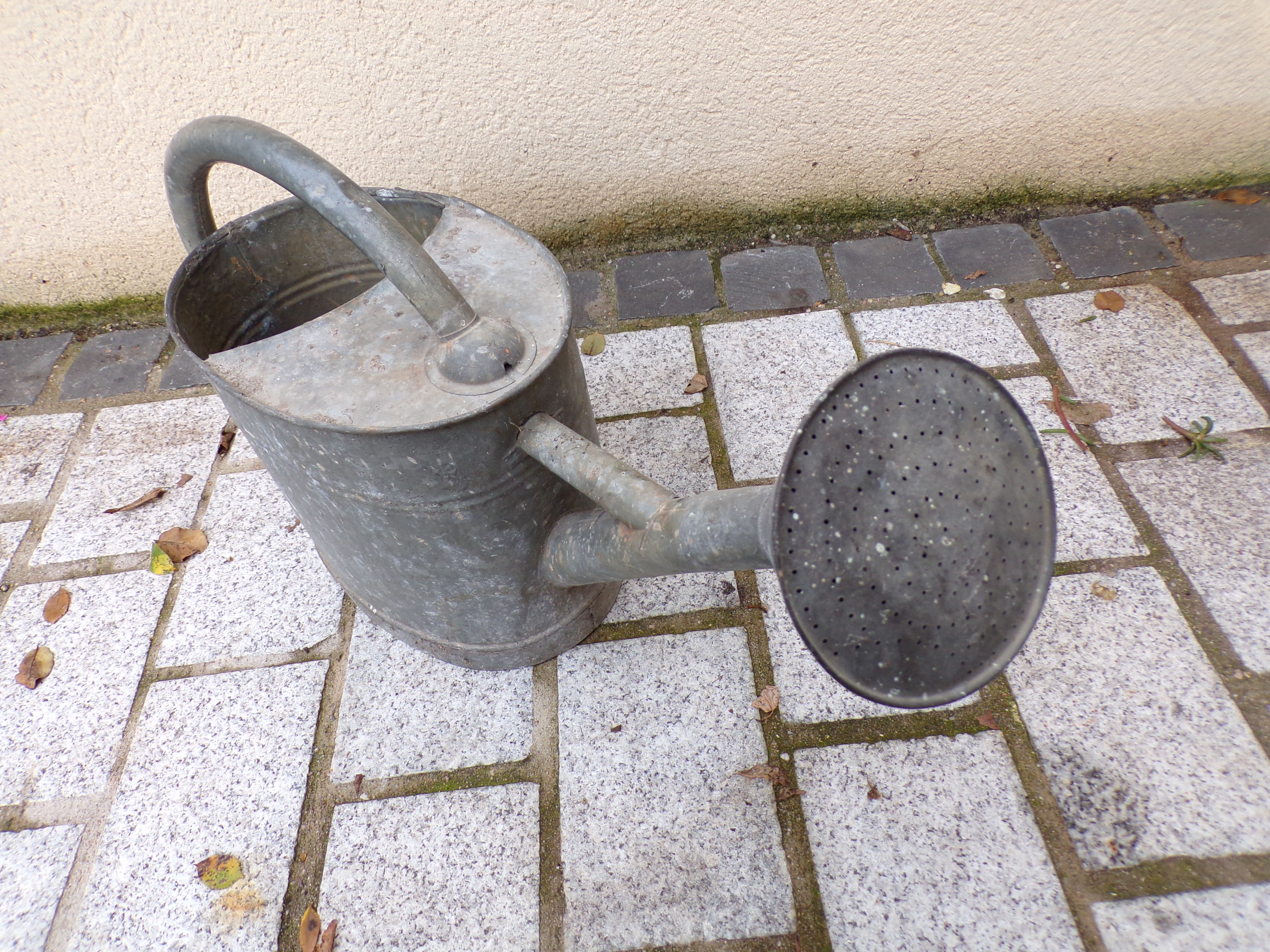 Zinc watering can with apple