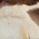 Tapis peau de vache 140 cm x 146cm