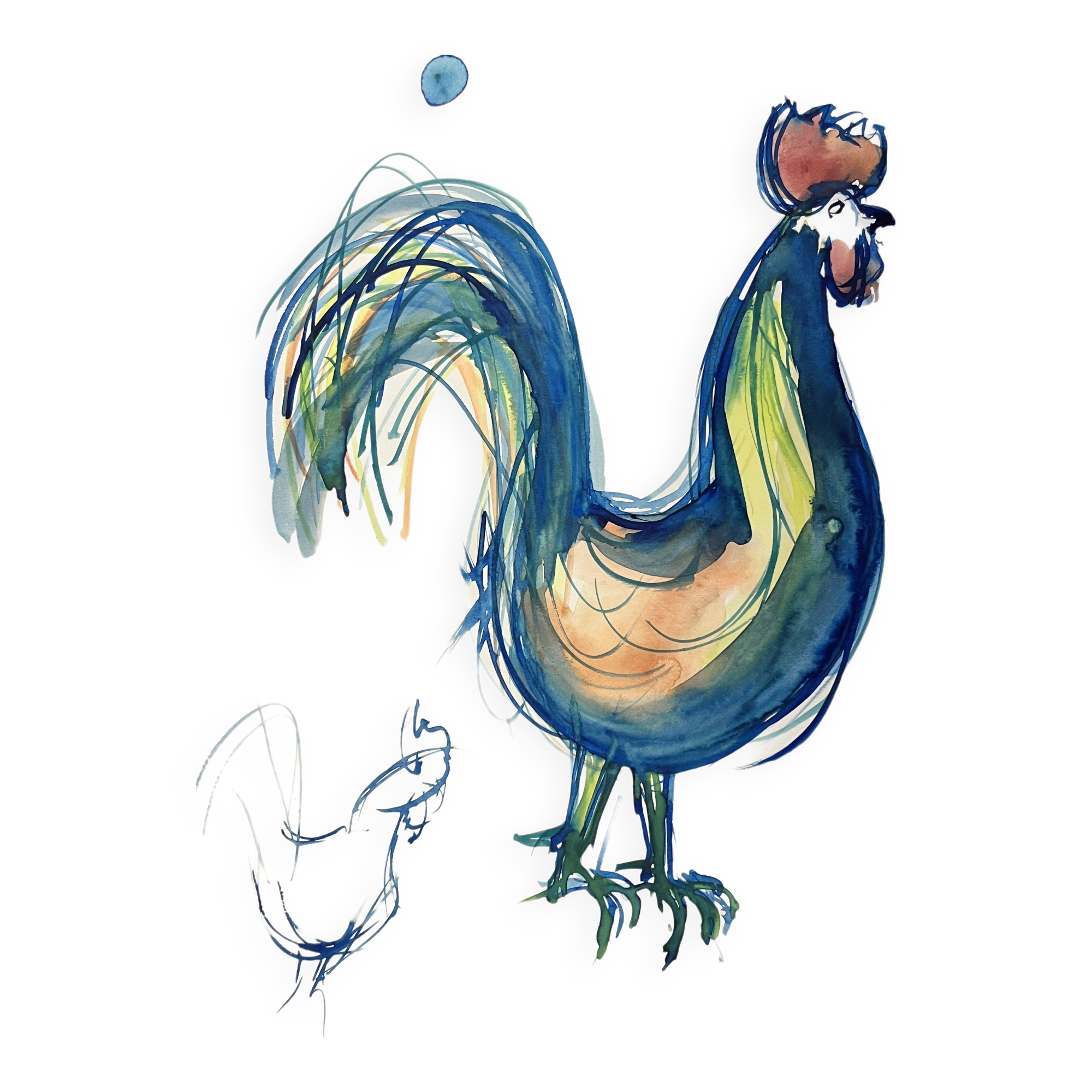 Badoisel charles, aquarelle coq bleu encadrement xxème