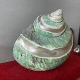 Desk pen set with sea shell lamp