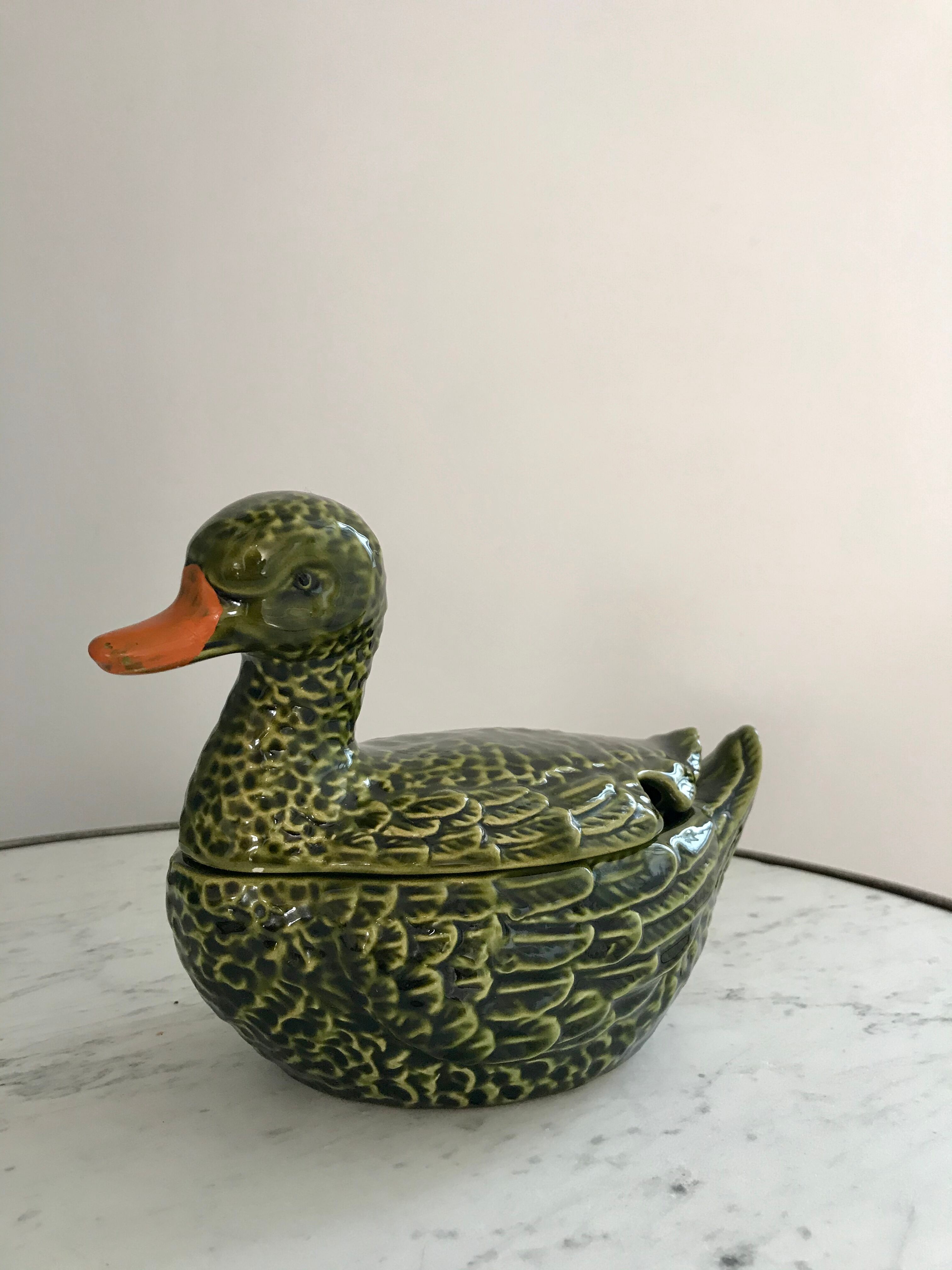 Empty dabbling duck pocket