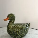 Empty dabbling duck pocket