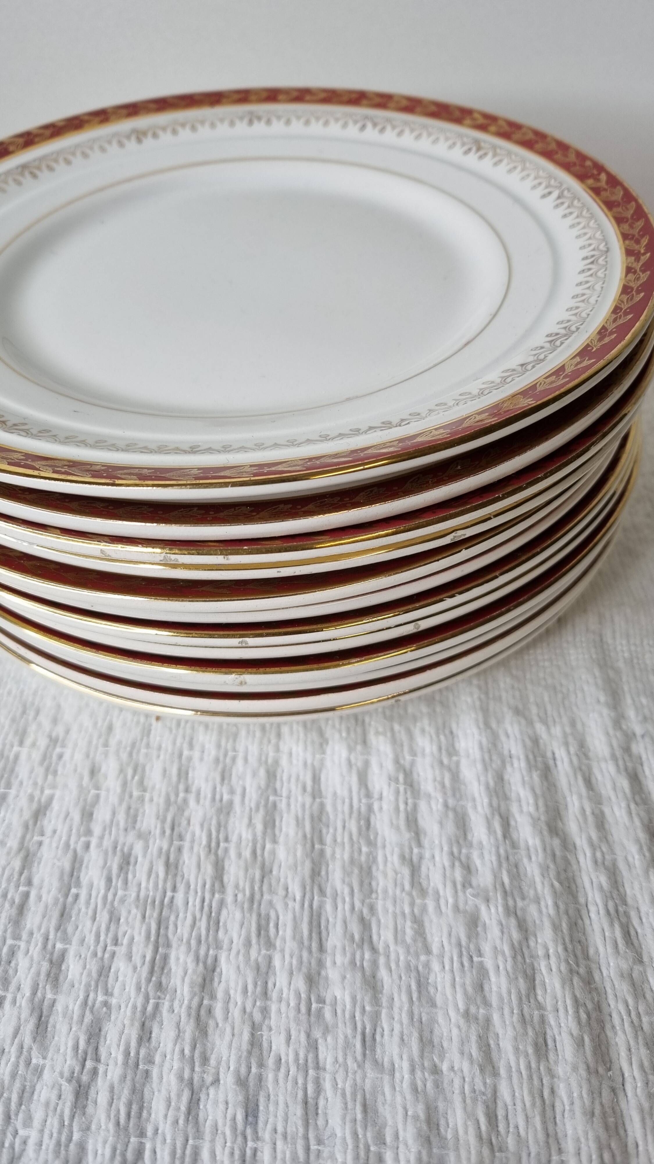 Ceranord porcelain dinner plates