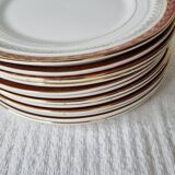 Ceranord porcelain dinner plates
