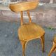 Pair of chairs bistrot banana model 1950s
