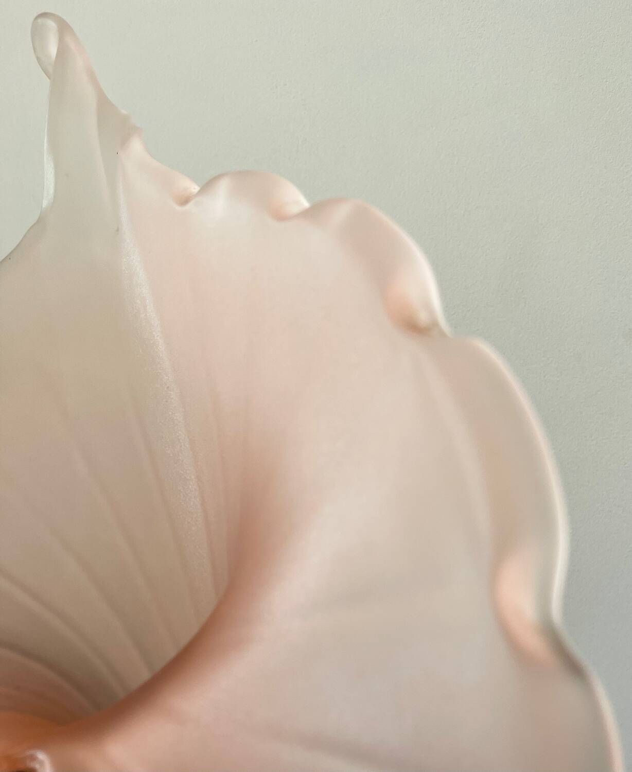 Leonardo vase in pink frosted glass