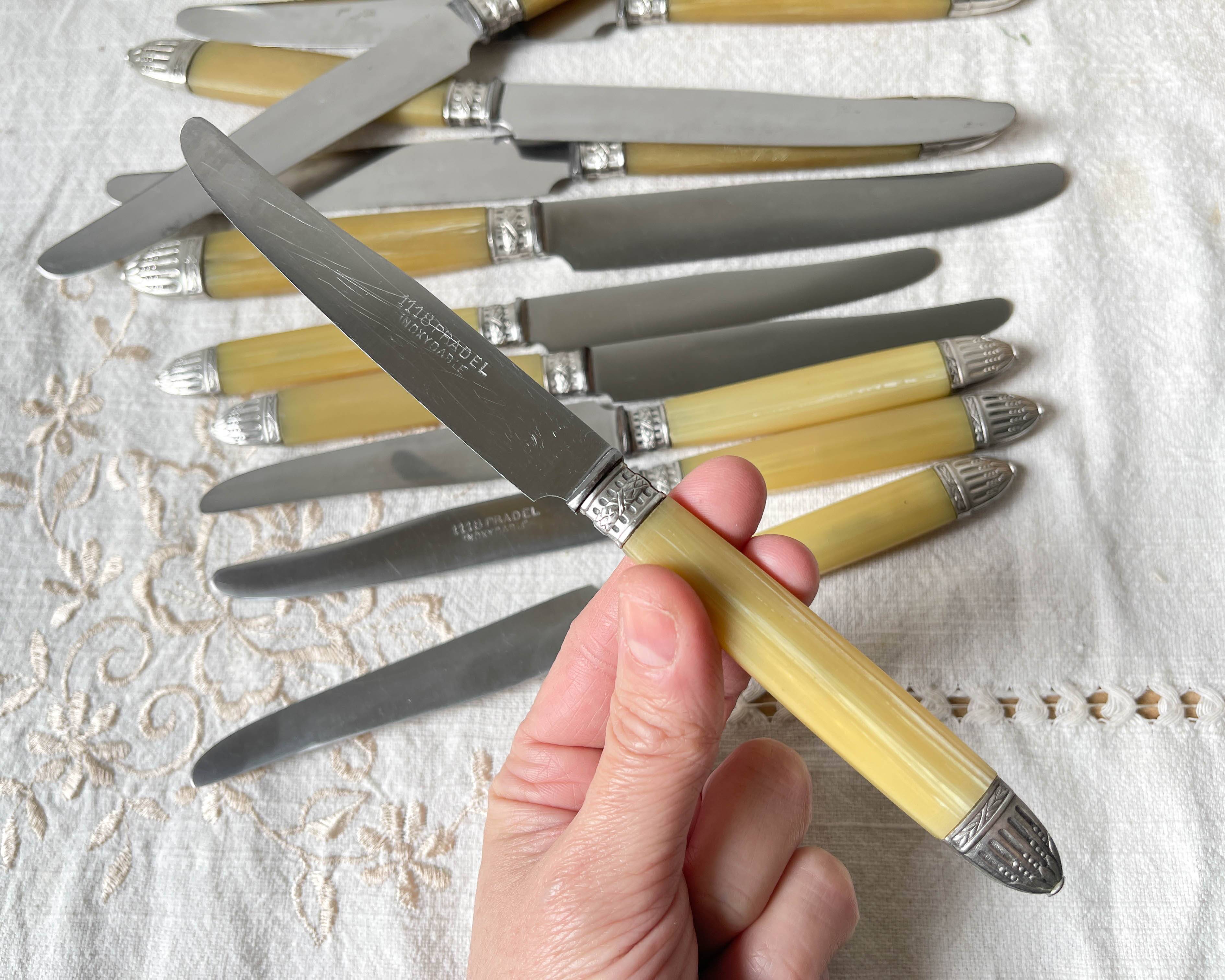 12 couteaux vintage bakélite Inox Pradel