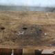 Established rough wood carpenter