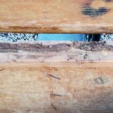 Alsatian polychrome wedding chest eighteenth -nineteenth century