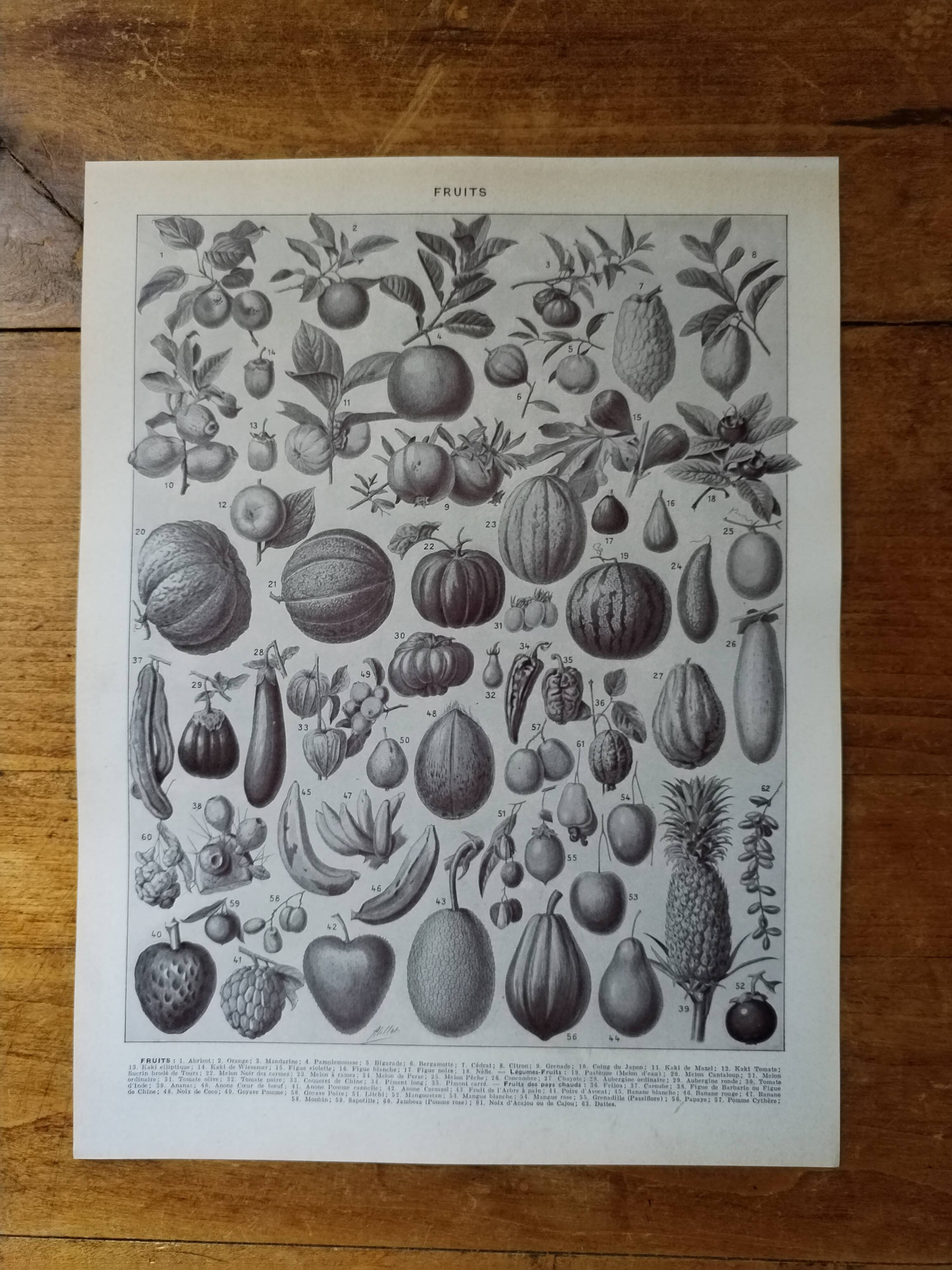 Original lithograph on fruits