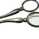 Danish Art Nouveau grape scissors, 1920s