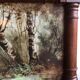 Old planter with painted earthenware