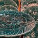 Set of 10 green earthenware dessert plates with a finely embossed floral pattern