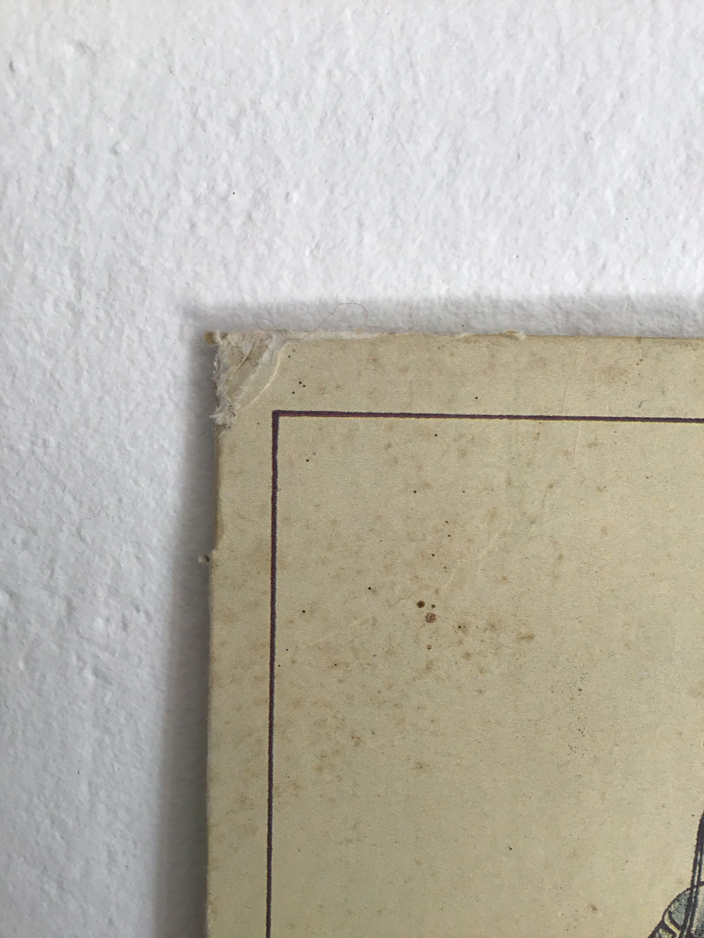 Educational school poster on milk