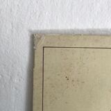 Educational school poster on milk