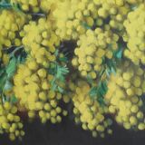 Oil on canvas by Alfio Graziani