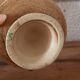 Plant pot