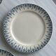 6 flat earthenware plates, blue floral border