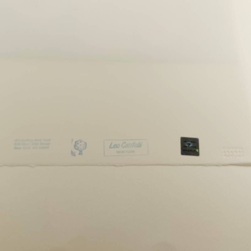 1980s Andy Warhol "Flowers" Limited Series Lithograph - Leo Castelli - New