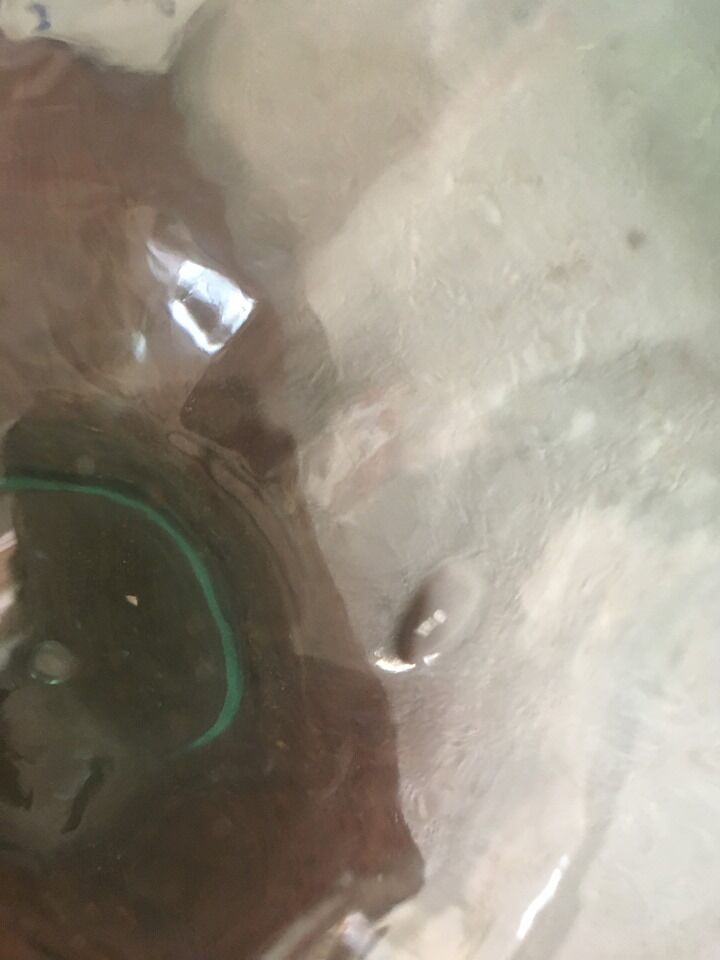 Green demijohn
