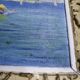 Bord de mer, huile sur panneau