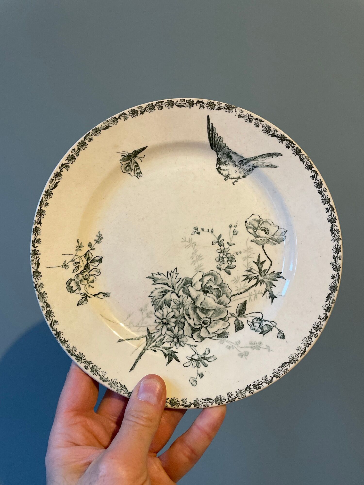 Set of 12 Terre de Fer dessert plates Grand Dépôt E.Bourgeois
