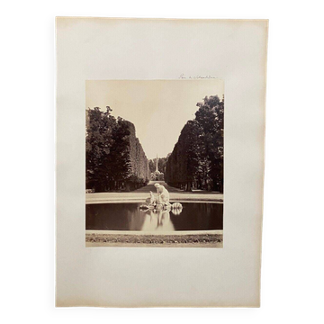 Photo Parc de Schoenbrunn XIXe albumine carton contrecollé